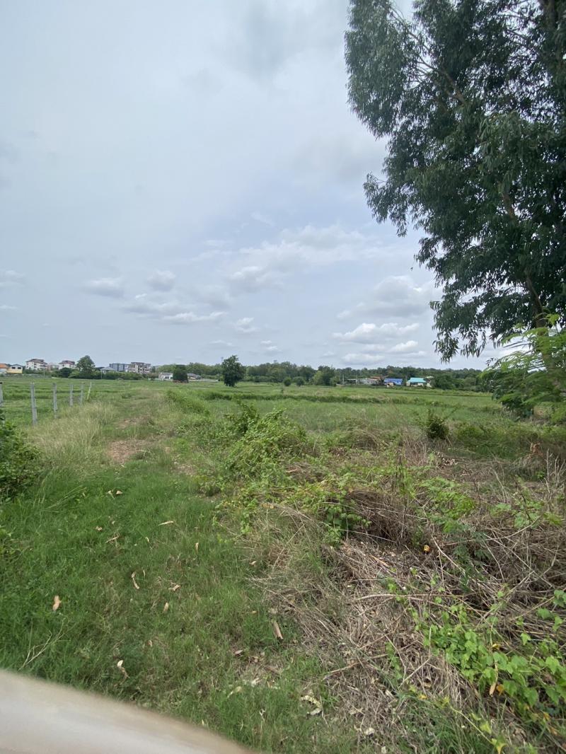 ที่ดิน 8000000 ขอนแก่น เมืองขอนแก่น ศิลา