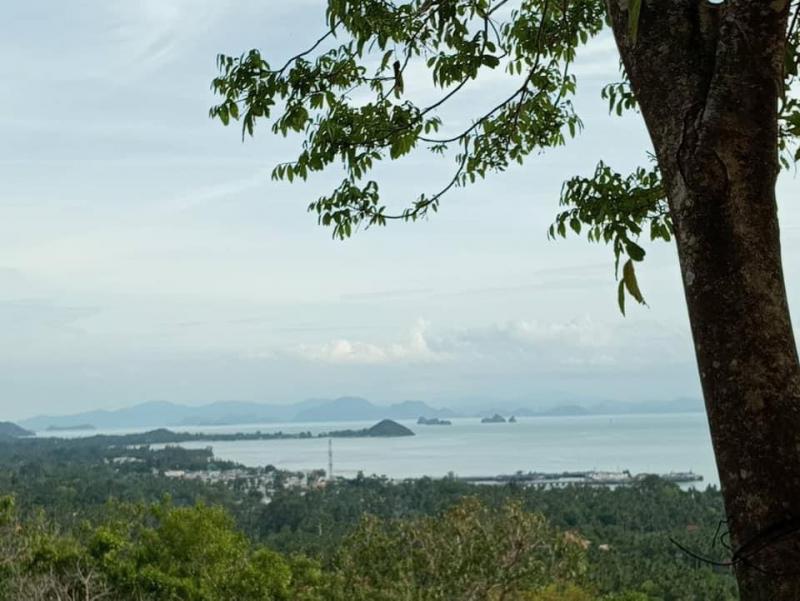ที่ดิน 4000000 สุราษฎร์ธานี เกาะสมุย อ่างทอง