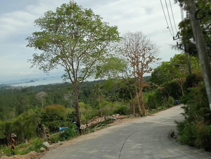 ที่ดิน 4000000 สุราษฎร์ธานี เกาะสมุย อ่างทอง